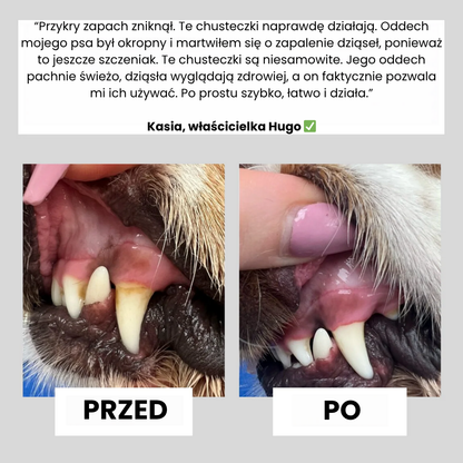 WoofSmile™ Naturalne chusteczki do higieny jamy ustnej zwierząt (50szt)