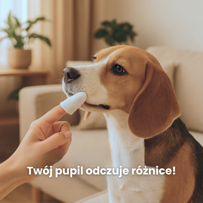 WoofSmile™ Naturalne chusteczki do higieny jamy ustnej zwierząt (50szt)